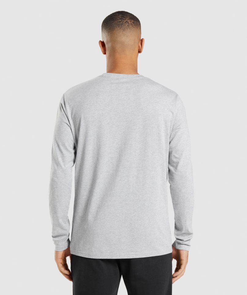 Men's Gymshark Crest Long Sleeve T-Shirts Light Grey | NZ 0BQSKP